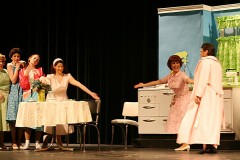 byebyebirdie08_016