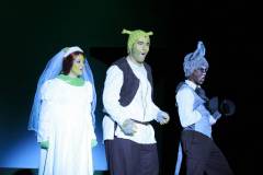 shrek14_045